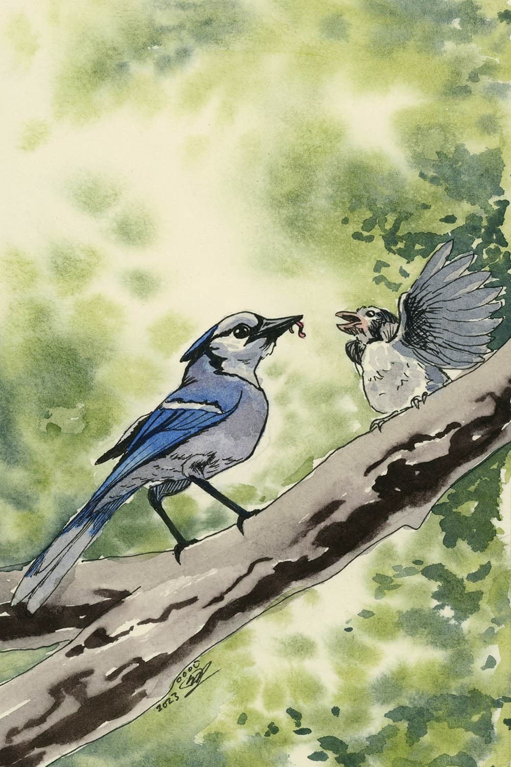 Blue Jays