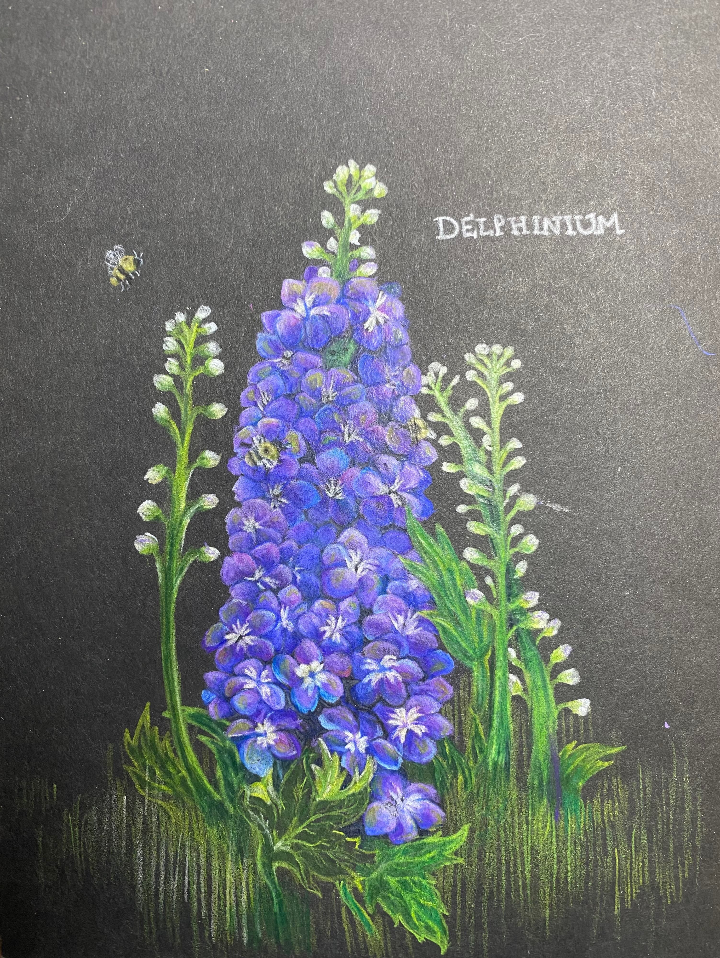 Gift of Encouragement