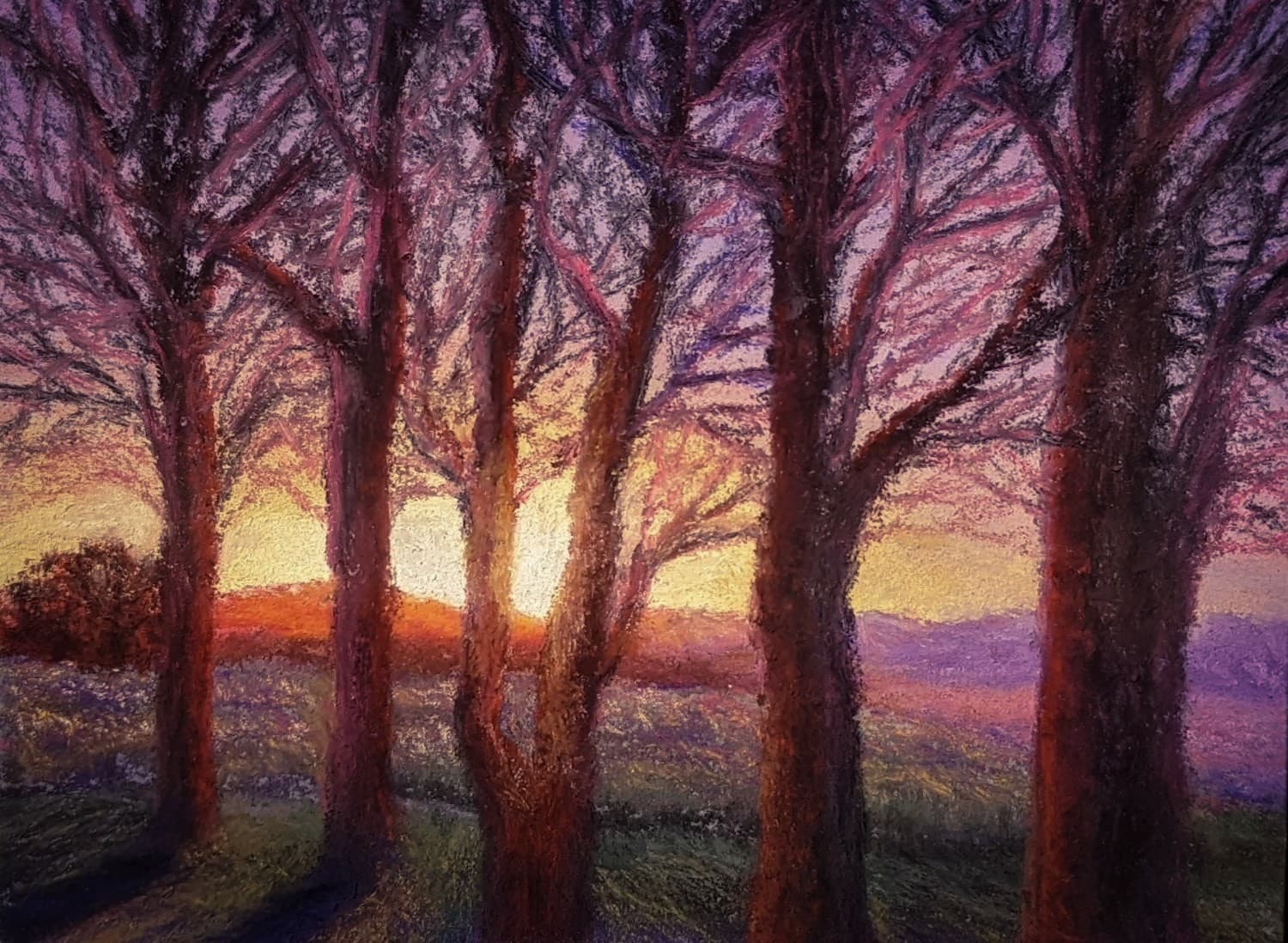 I Can Tree Clearly Now