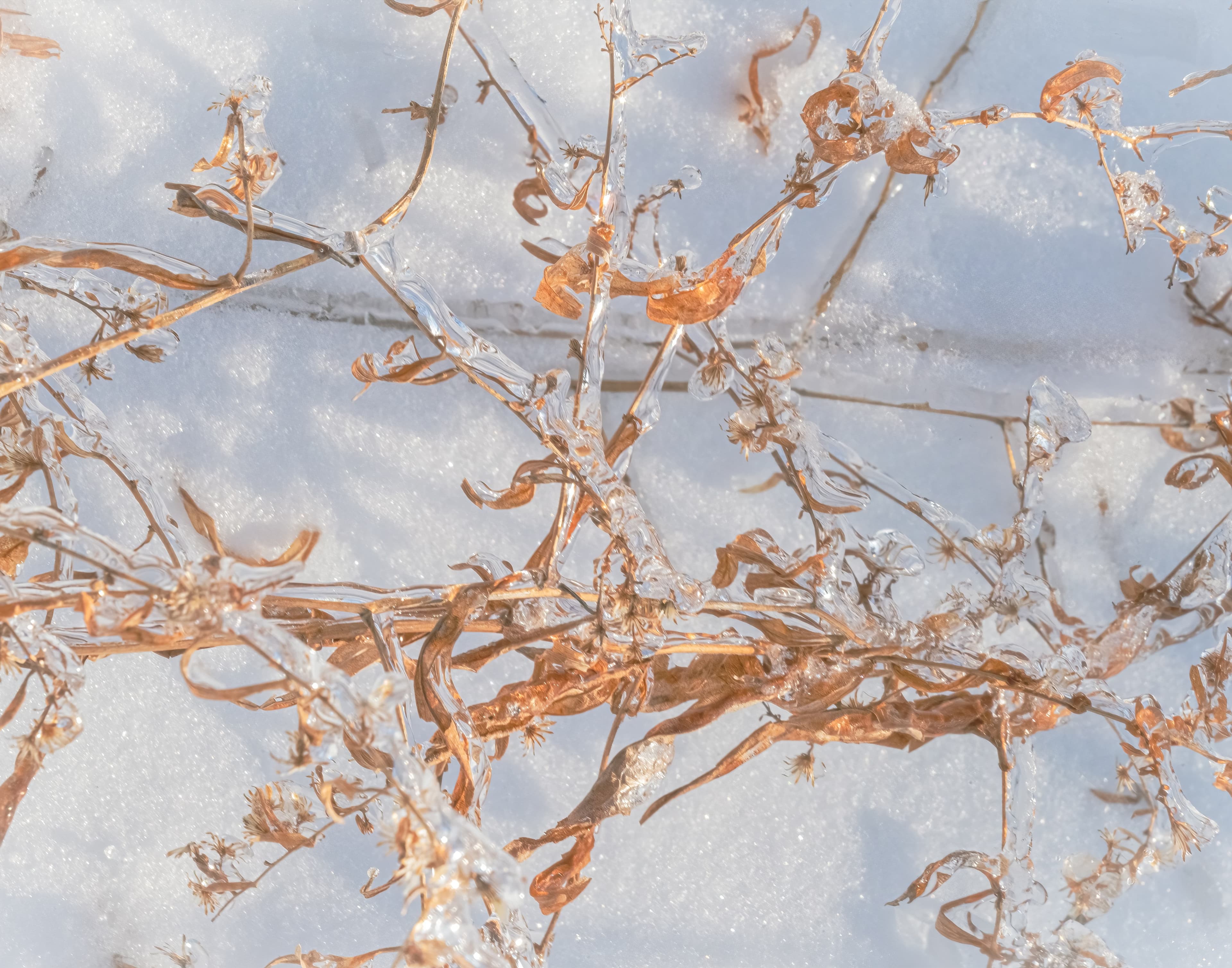 Glistening Preservation