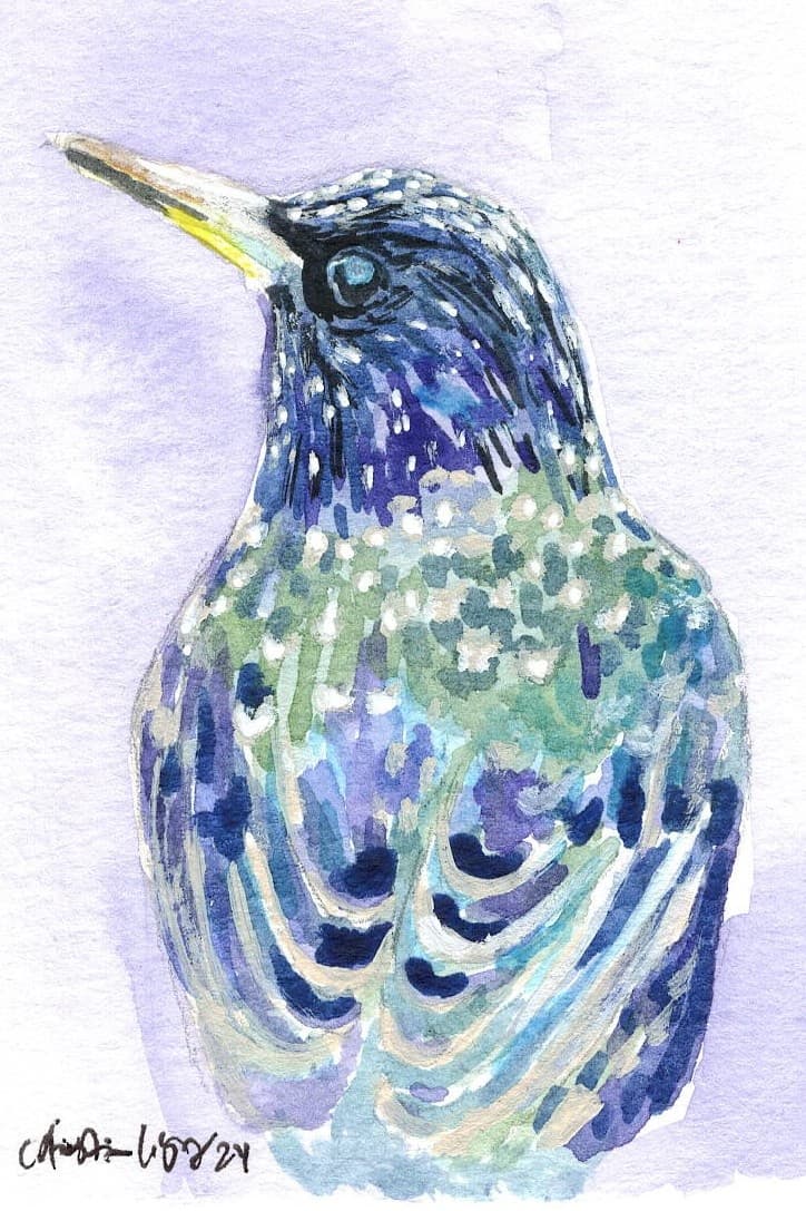 Starling